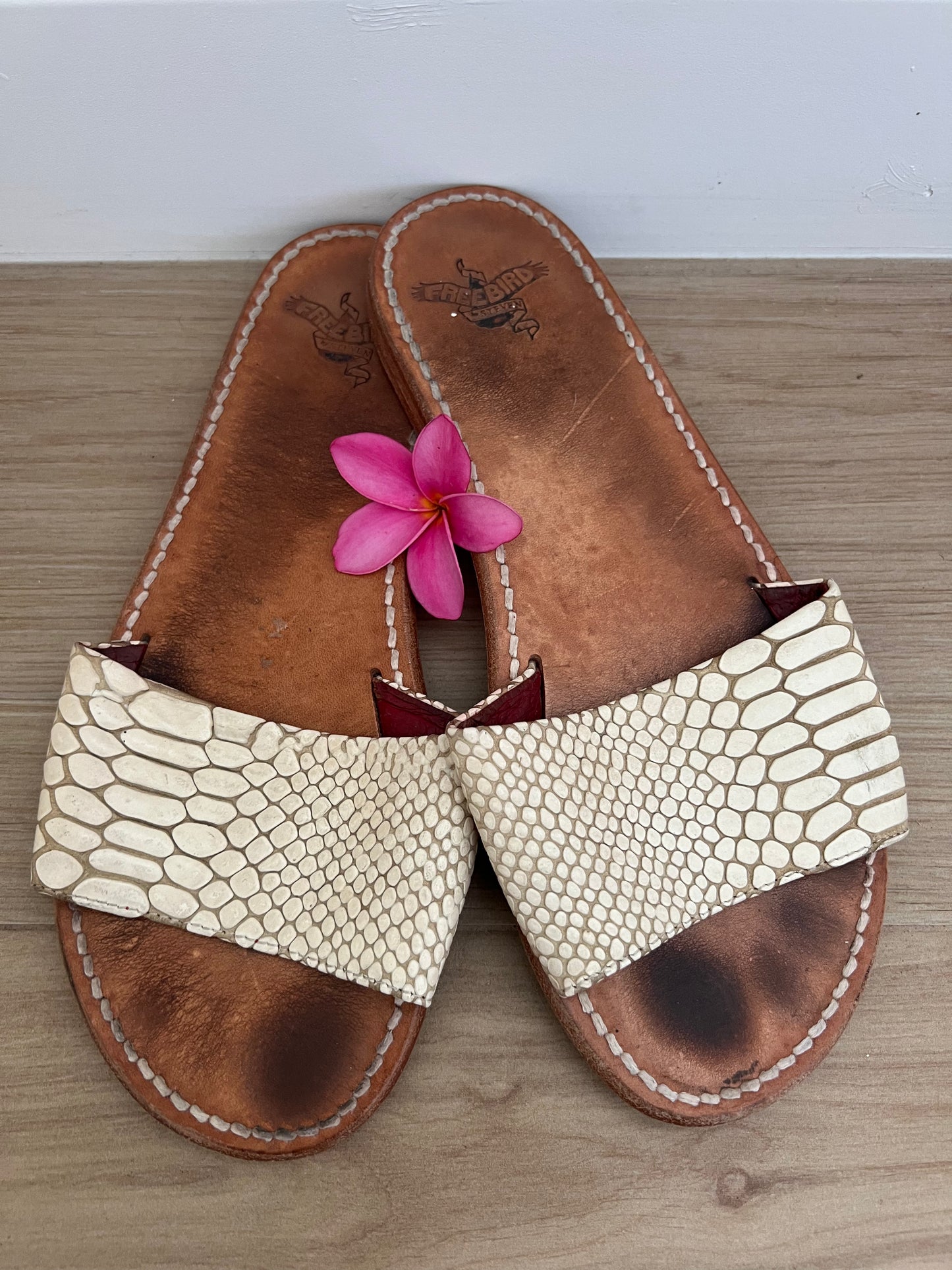 White Snake Slides